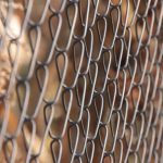 Chain-link Fence
